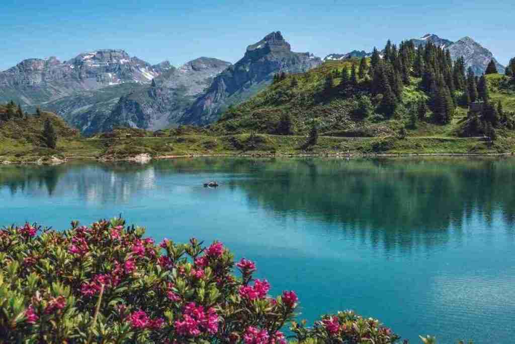 free tours suiza