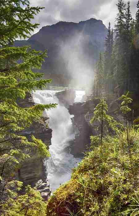 mejores free tours en la naturaleza