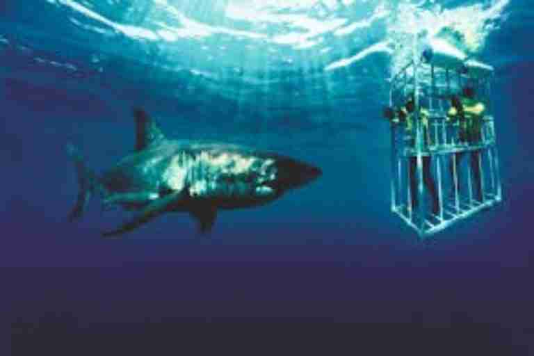 Aventuras extremas 3