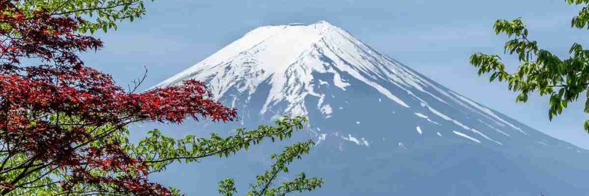 excursiones desde tokio