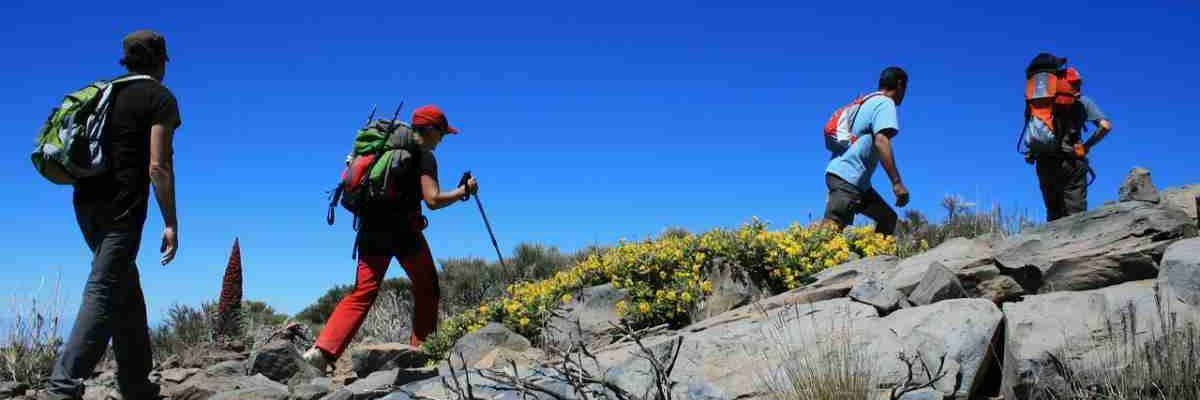 free tours para amantes de la naturaleza
